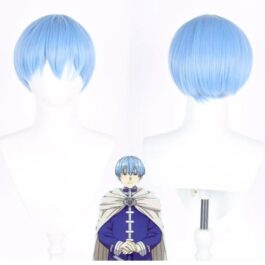 Himmel Wig