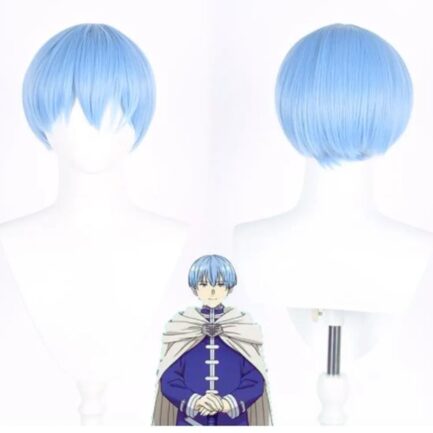 Himmel Wig
