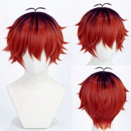Frieren Stark Wig